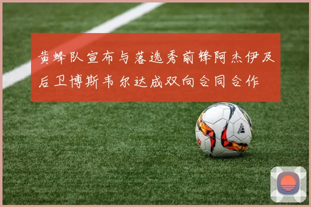 黄蜂队宣布与落选秀前锋阿杰伊及后卫博斯韦尔达成双向合同合作