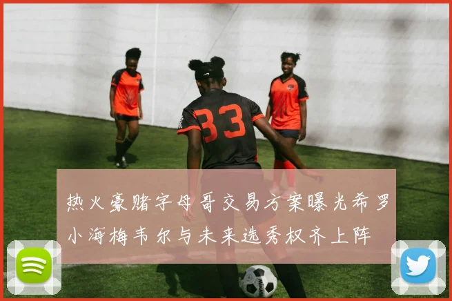 热火豪赌字母哥交易方案曝光希罗小海梅韦尔与未来选秀权齐上阵